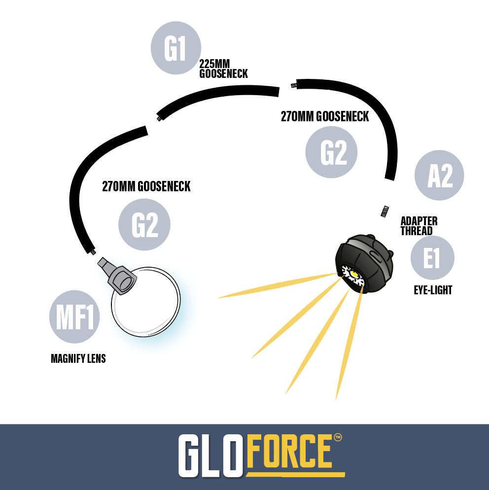 GloForce Product Guide Screenshot