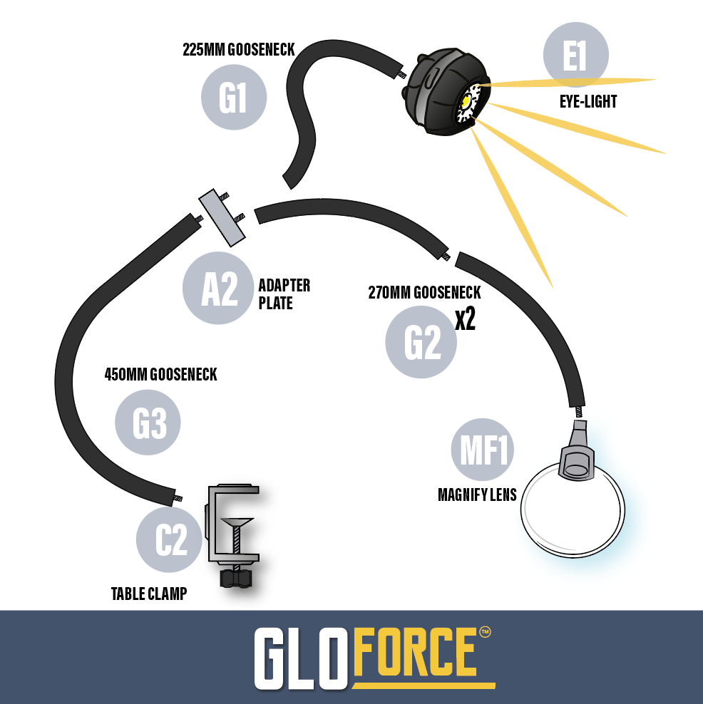 GloForce Product Guide Screenshot