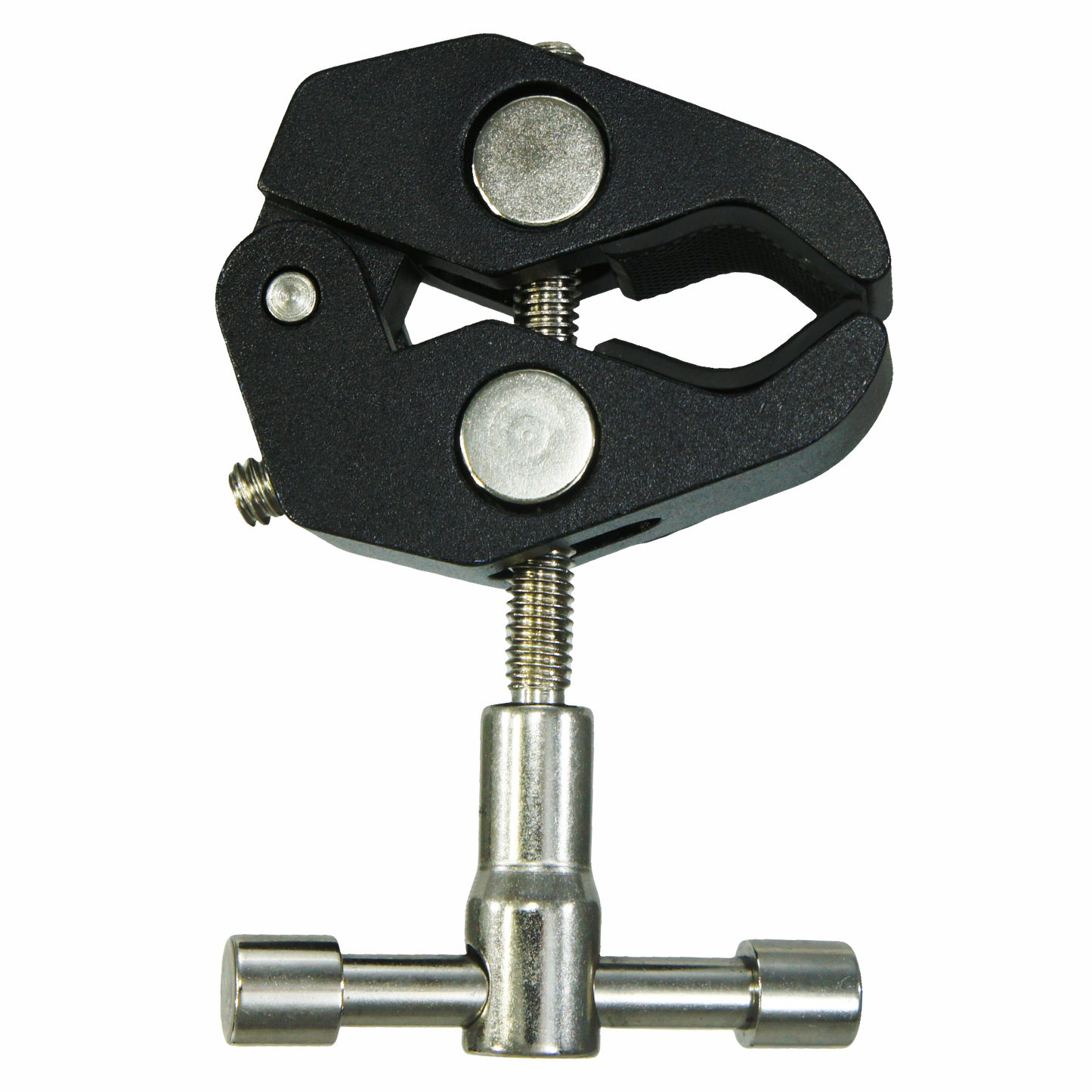 C1-DINO CLAMP
