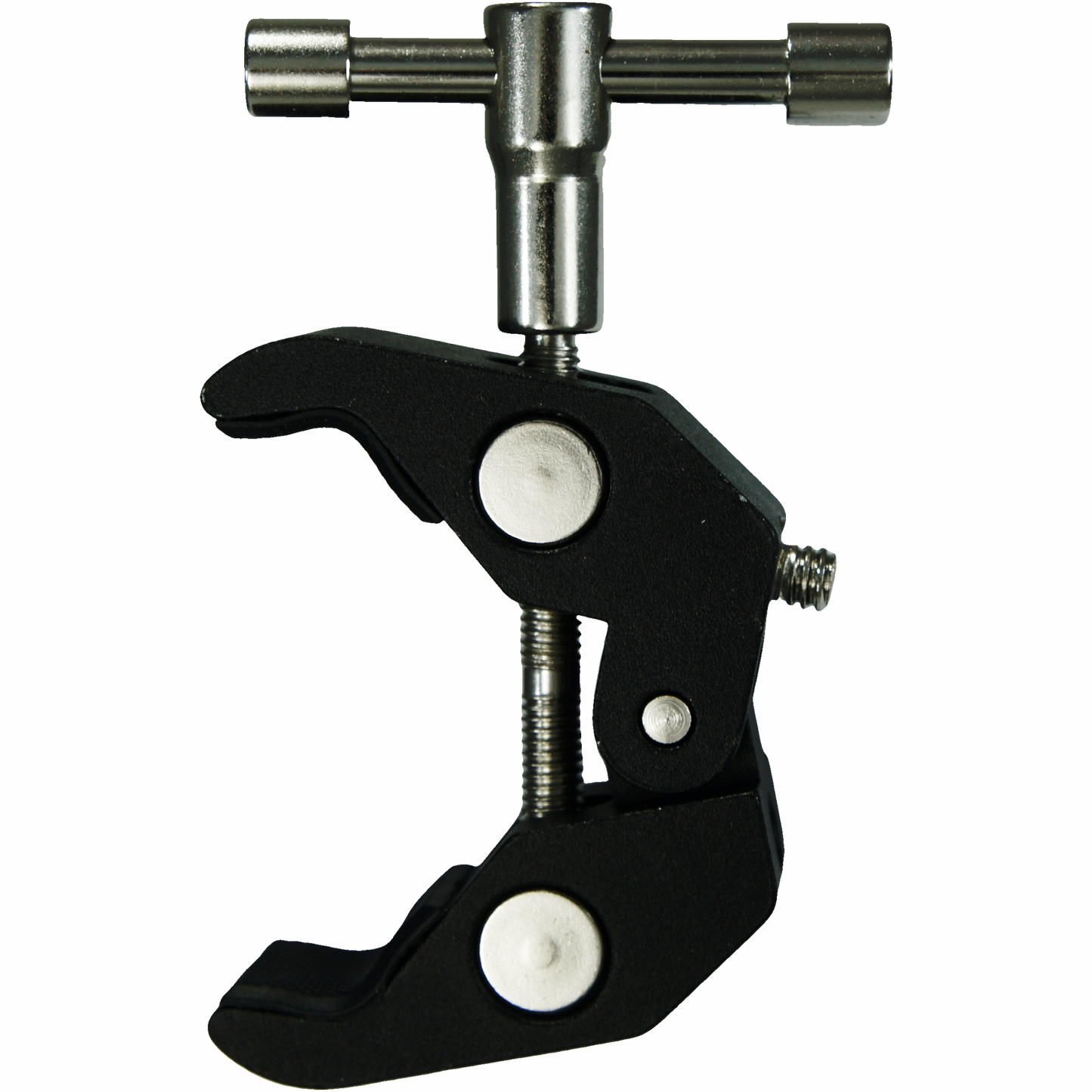 C1-DINO CLAMP